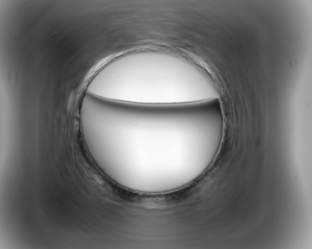 X0000086241363200703290956