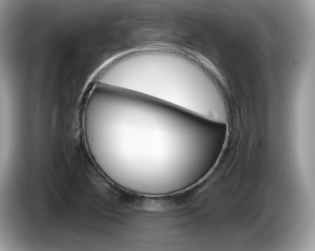 X0000086241364200703290956