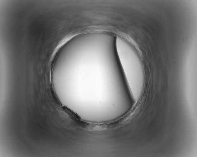 X0000086241365200703290956