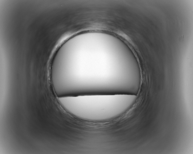 X0000086241366200703290956