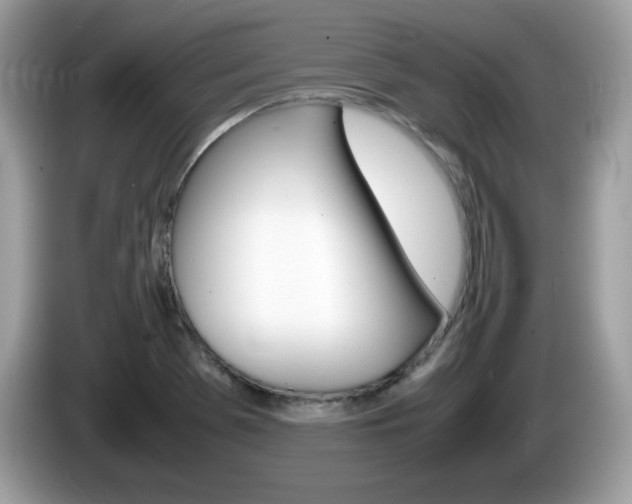 X0000086241369200703290956