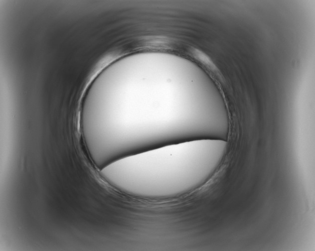 X0000086241370200703290956