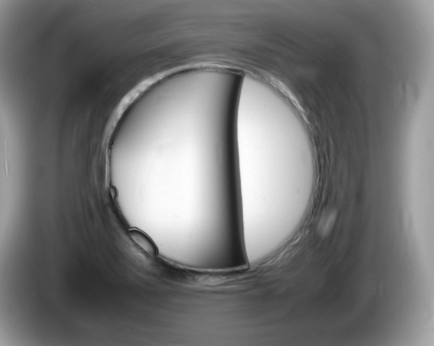 X0000086241371200703290956