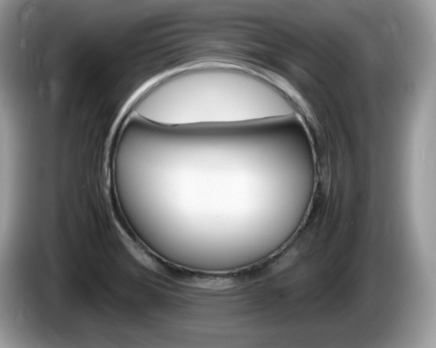 X0000086241372200703290956