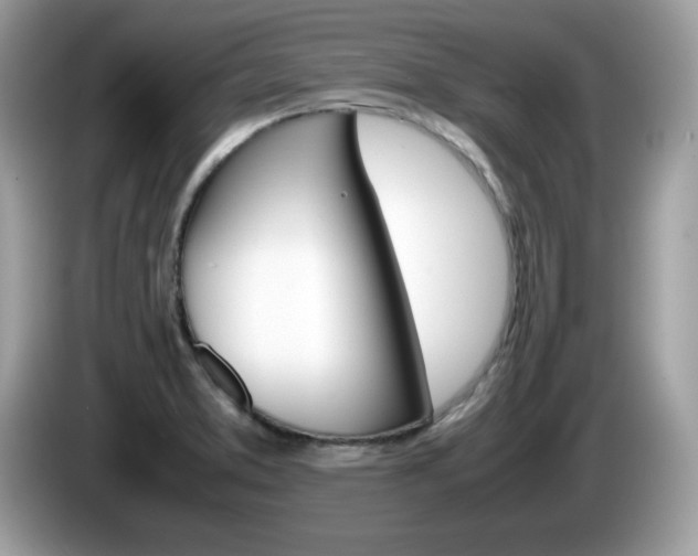 X0000086241373200703290956