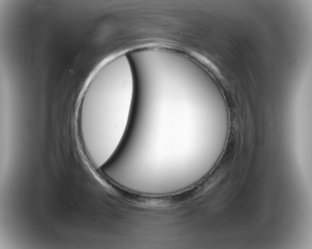 X0000086241375200703290956