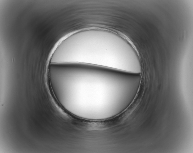 X0000086241379200703290956