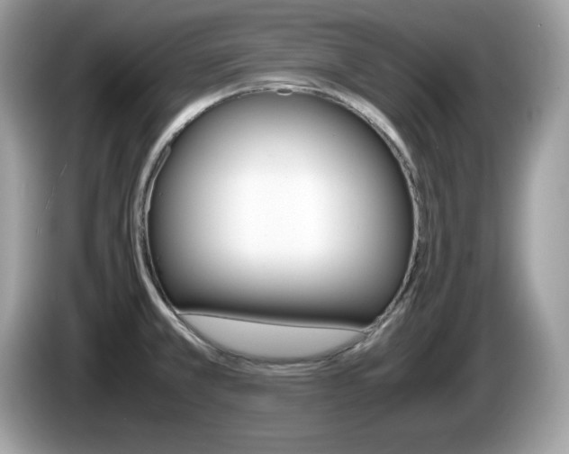 X0000086241381200703290956