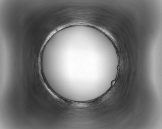 X0000086241382200703290956
