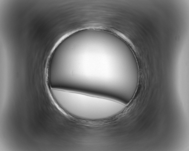 X0000086241383200703290956