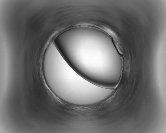 X0000086241384200703290956