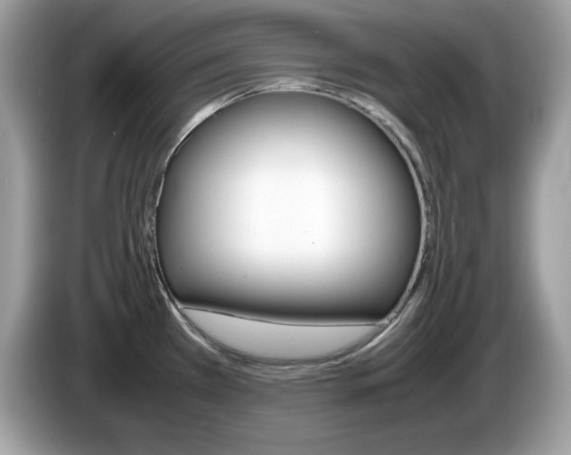 X0000086241385200703290956