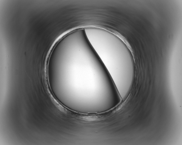 X0000086241388200703290956
