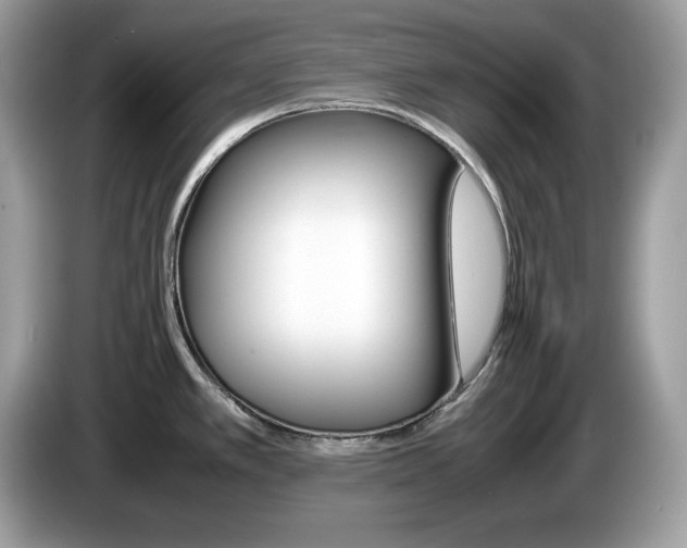 X0000086241389200703290956