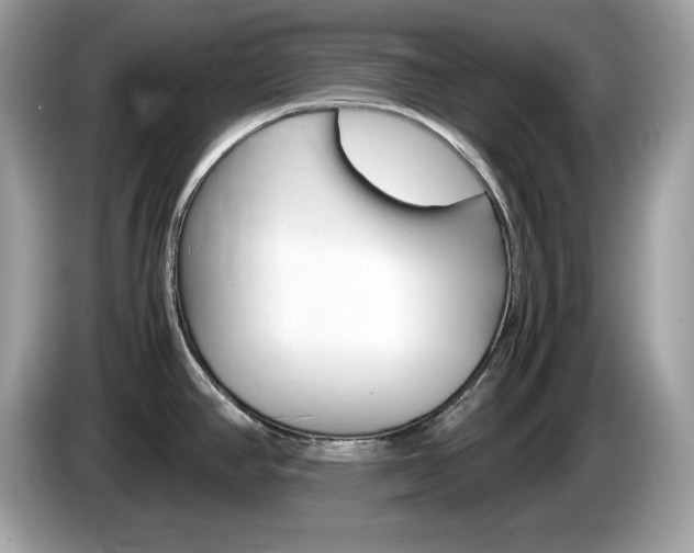 X0000086241390200703290956