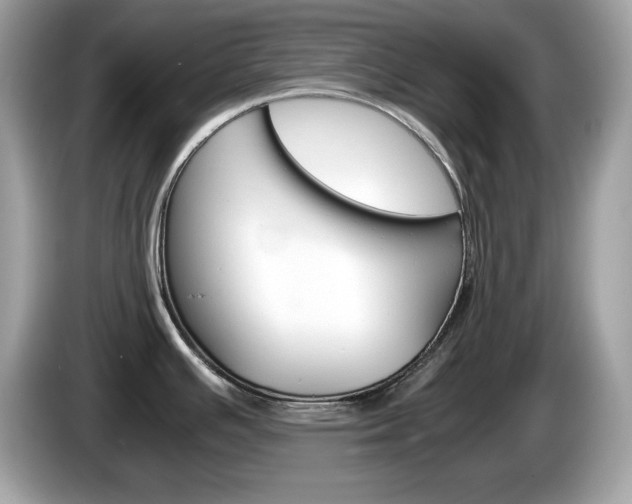 X0000086241391200703290956