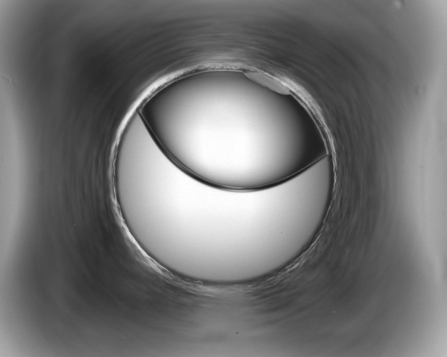 X0000086241392200703290956