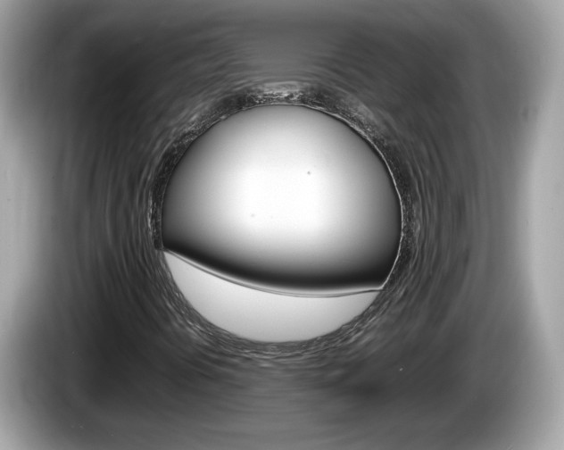 X0000086241394200703290955