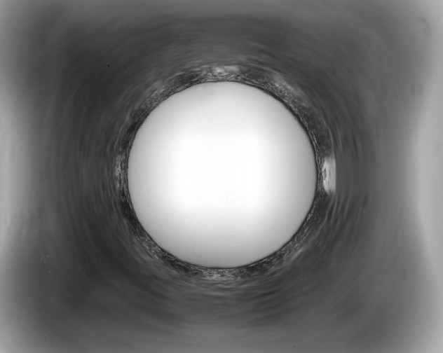 X0000086241395200703290955