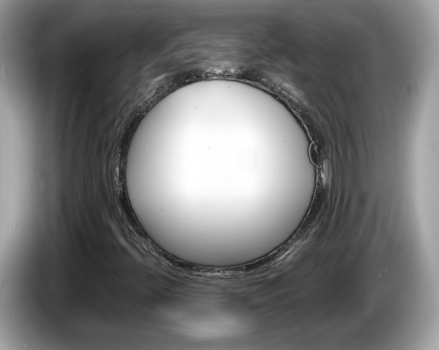 X0000086241396200703290955