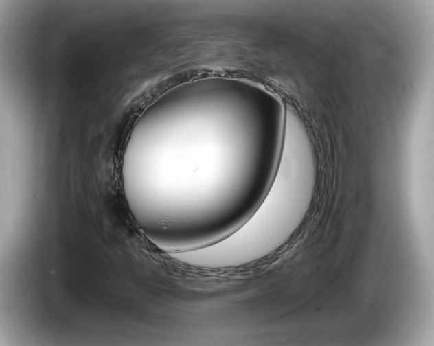 X0000086241398200703290955