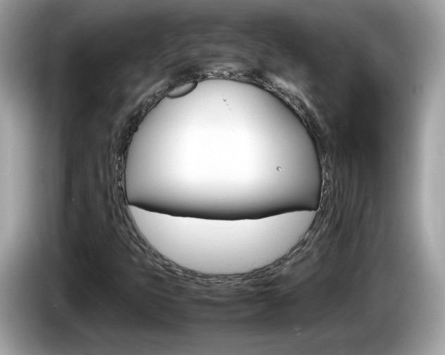 X0000086241399200703290955