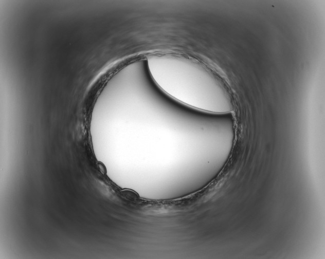 X0000086241400200703290955
