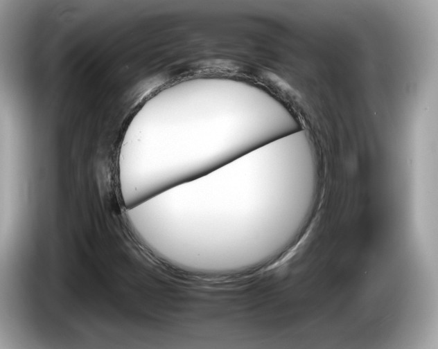 X0000086241401200703290955