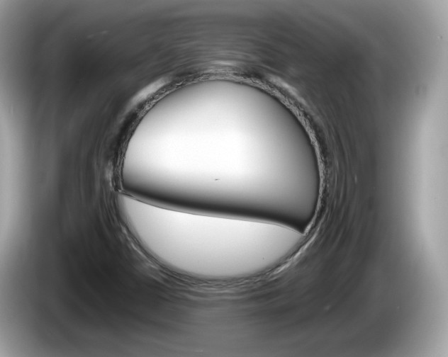 X0000086241402200703290955