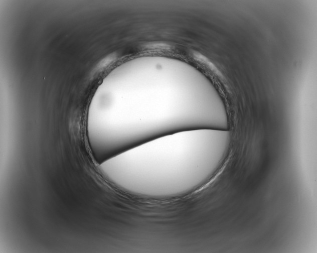 X0000086241403200703290955