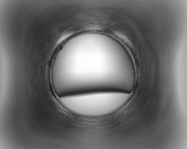 X0000086241404200703290955