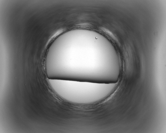 X0000086241405200703290955