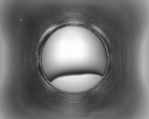X0000086241408200703290955