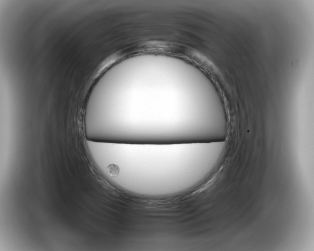 X0000086241409200703290955