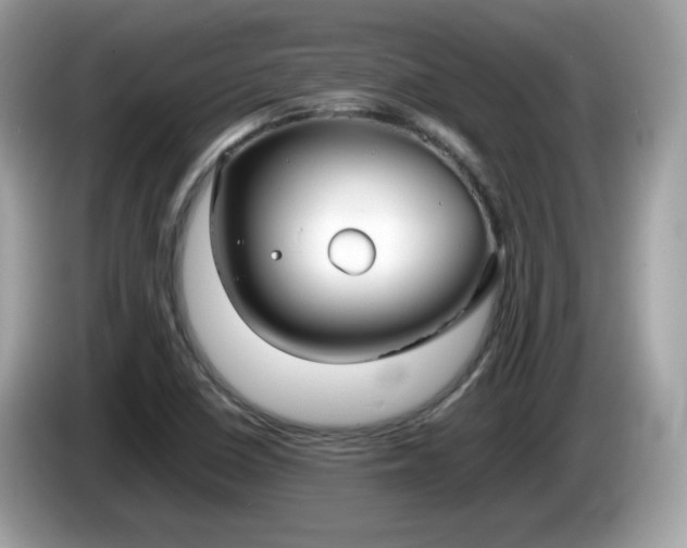 X0000086241410200703290955