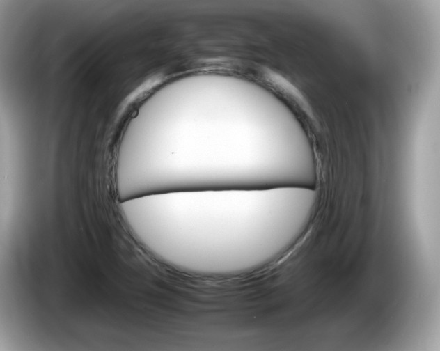 X0000086241411200703290955