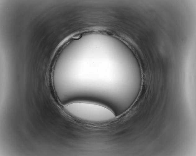 X0000086241412200703290955