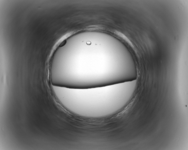 X0000086241413200703290955