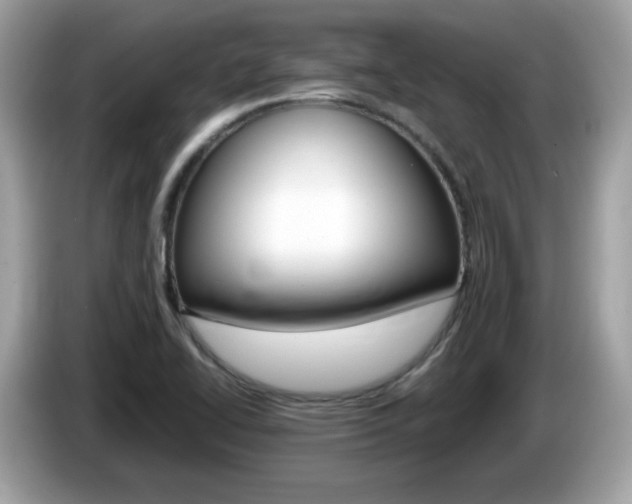 X0000086241414200703290955