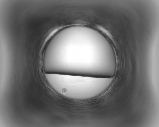 X0000086241415200703290955