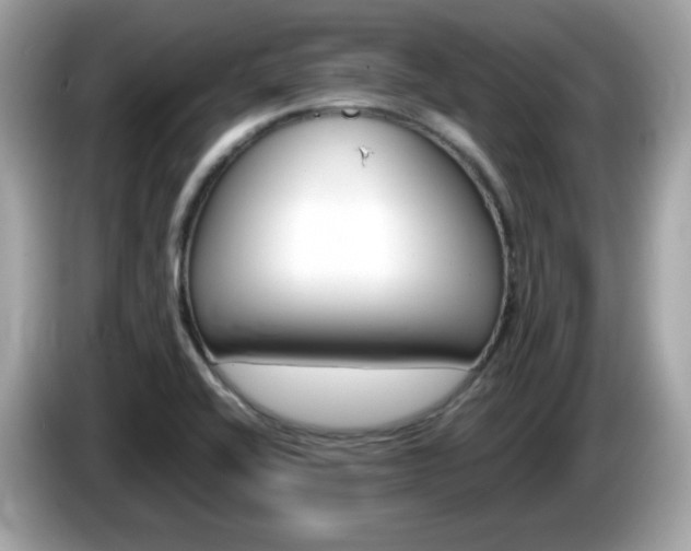 X0000086241416200703290955