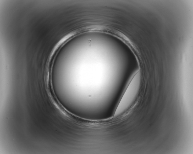 X0000086241418200703290955
