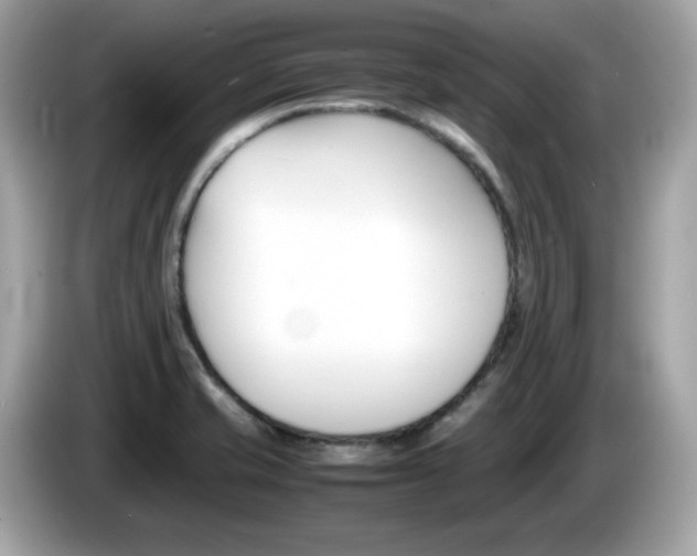 X0000086241421200703290955
