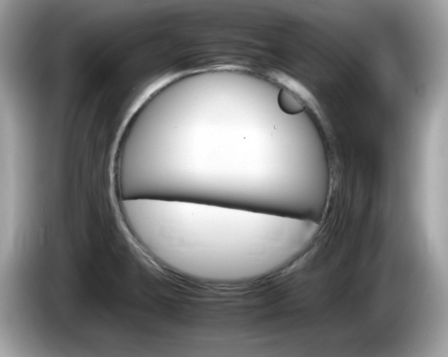 X0000086241423200703290955