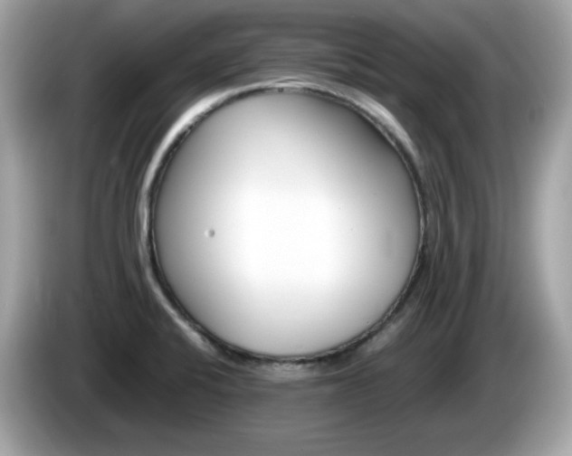 X0000086241424200703290955