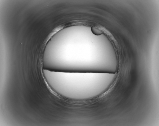 X0000086241425200703290955