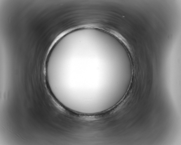 X0000086241428200703290955