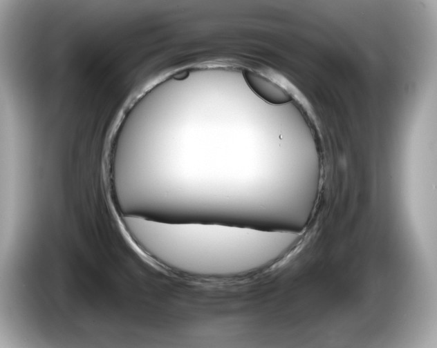 X0000086241429200703290955