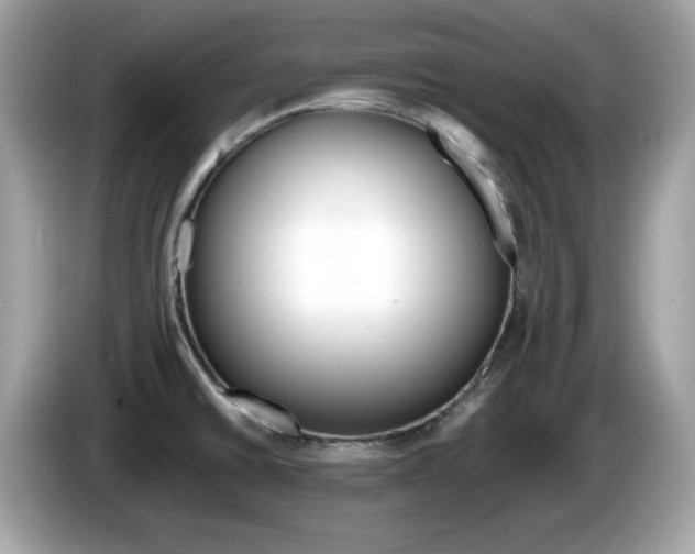 X0000086241430200703290955
