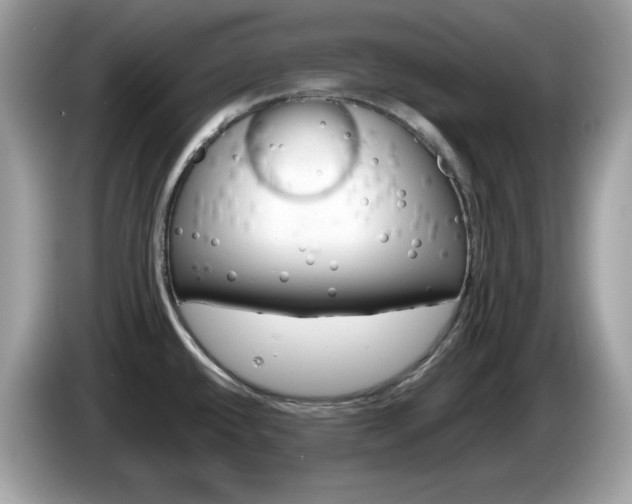 X0000086241432200703290956